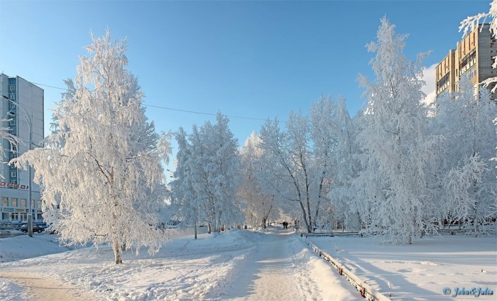 Зимы чудесные декоры