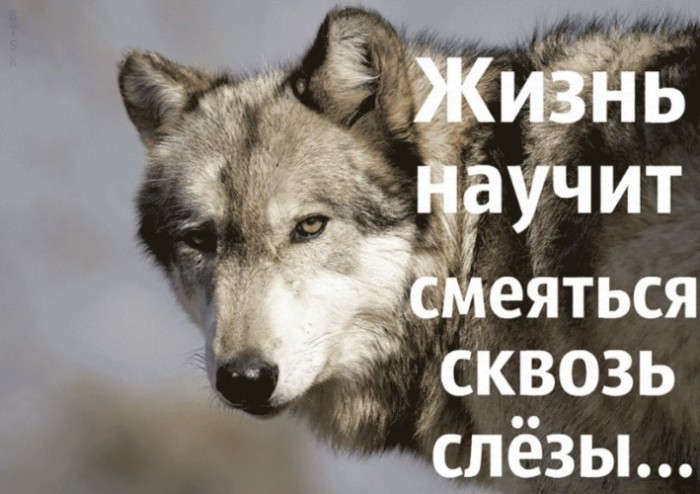 Будет разным настроенье