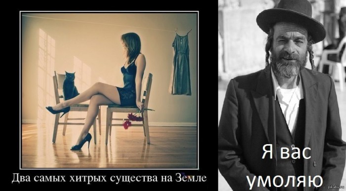Мене, мене, текел упарсин