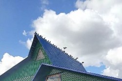 Рожденным ползать посвящается...