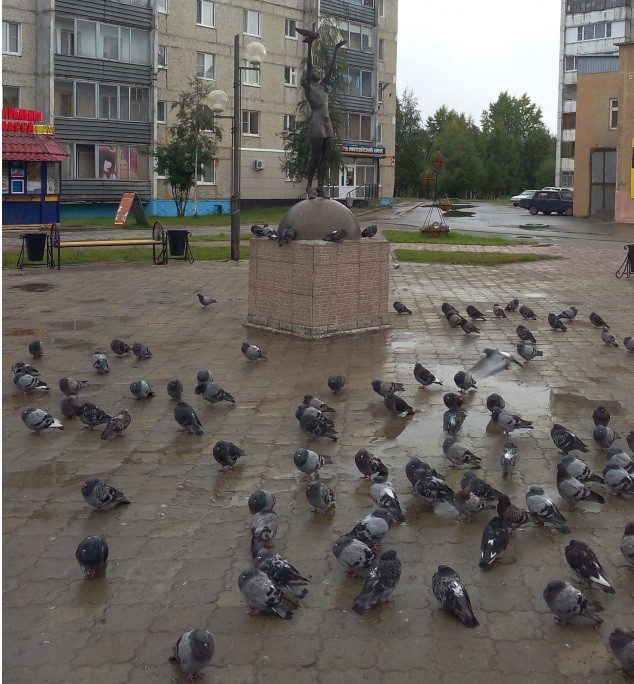 Друг мой - кошка!
