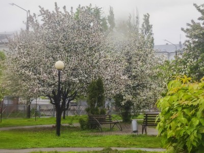 Утренний пейзажик