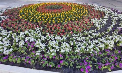 Летняя прогулка