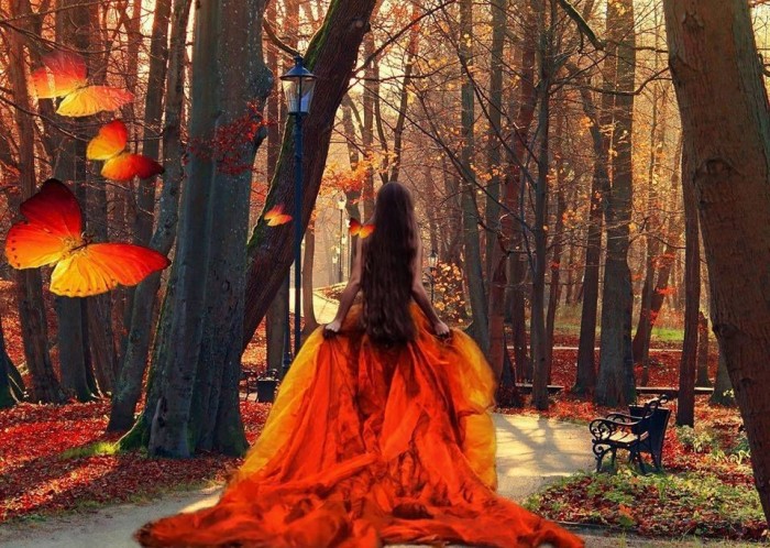 Принцесса леса