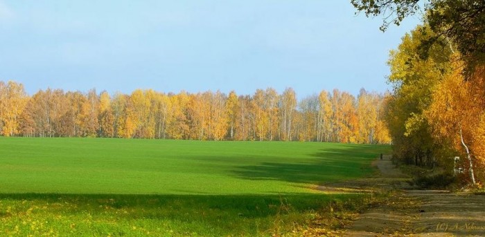 Покурим осень