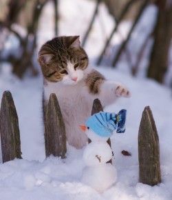Ура! Зима вернулась в марте!