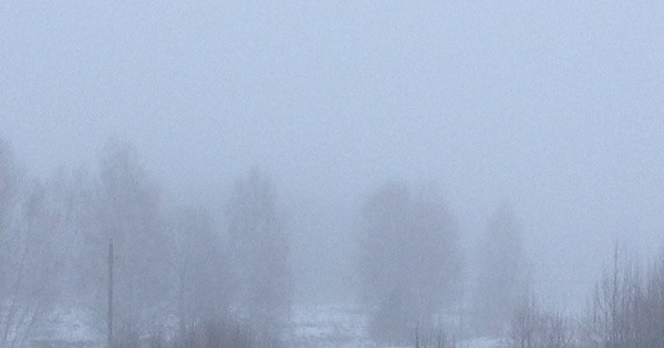 Ты моя любовь...в тумане