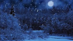 Снег – это сияние далеких звезд