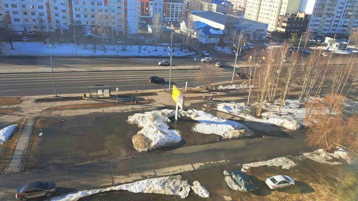 Грачи прилетели
