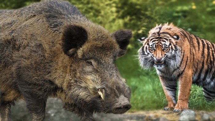 Страшная история