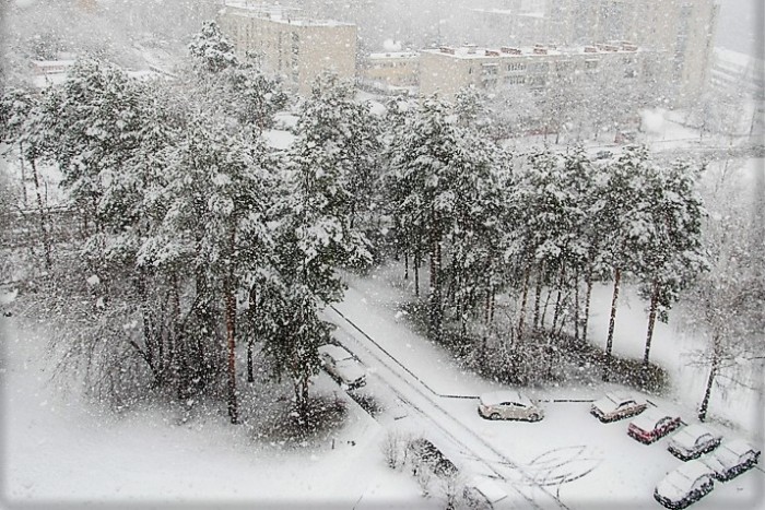 Снежная зарисовка