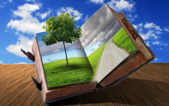 Книга