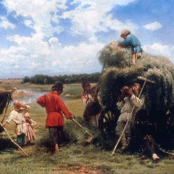 Сенокос