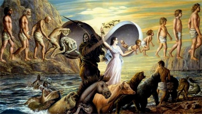 Жизнь