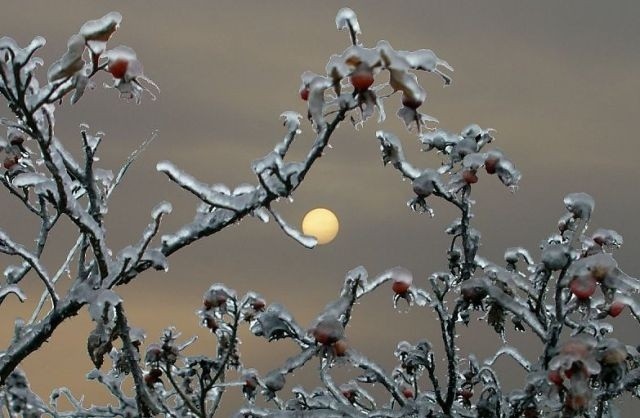 Ледяным дождём неспешно (аудио)