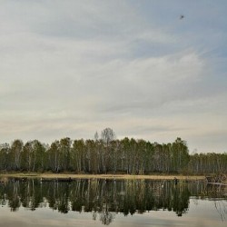 Тебе, мой край