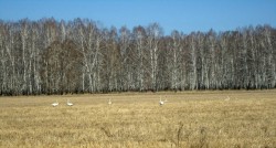 Прощай, осенний край