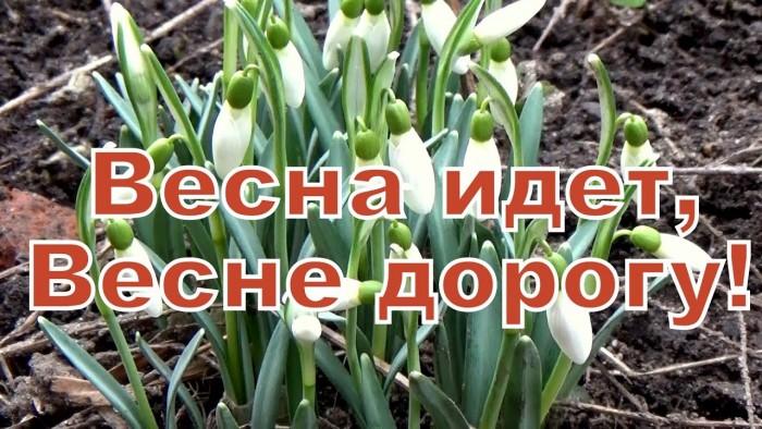 Весна спешит