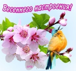 Времени осколки