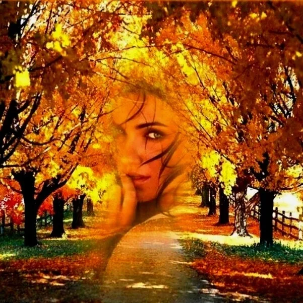 Зачем, скажи мне