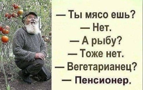 Размышления пенсионера