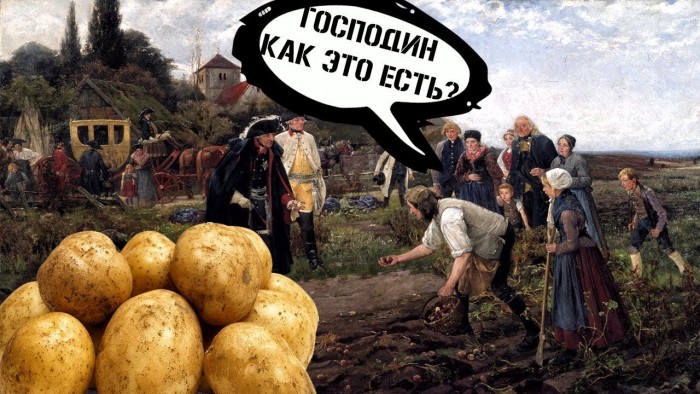Хоть шерсти клок...