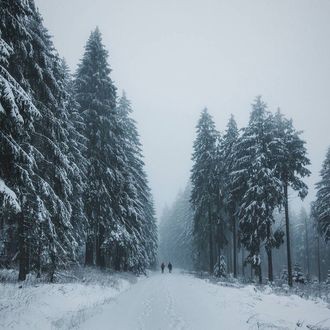 Последний февраль.