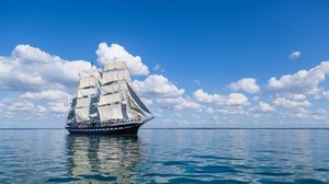 Сломаны розы.