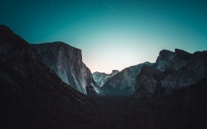 Волк-одиночка.