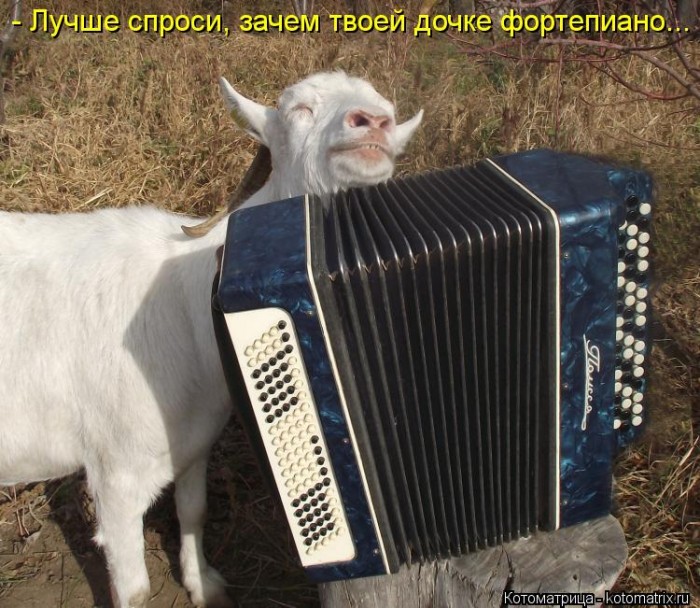 На Хрена Козе Баян!