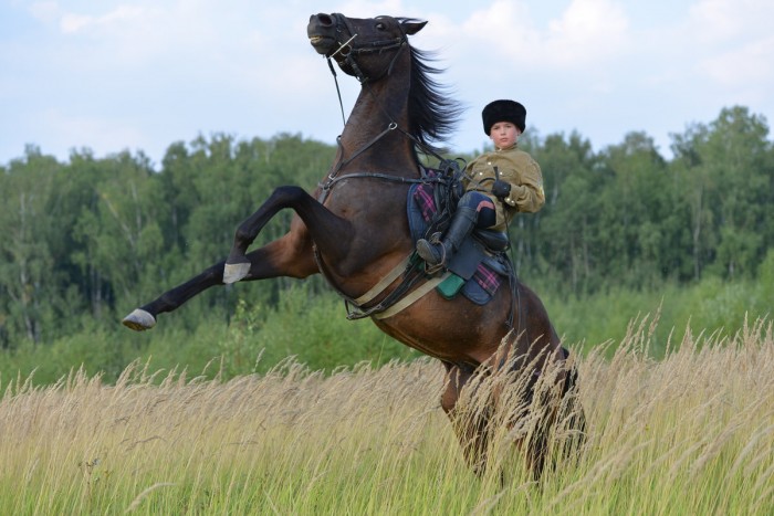 Коль Дело Позади
