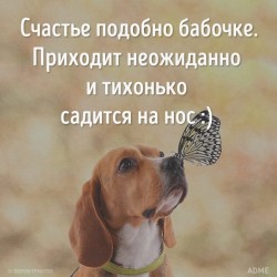 Счастье не купишь.