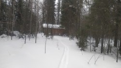 А за окном подремывает темный лес