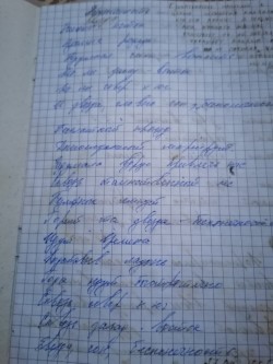 Ксения