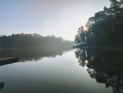 Утреннее солнце