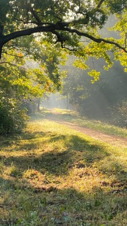 Поток времени