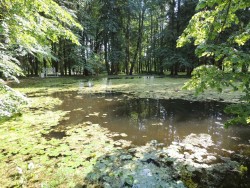 Берновское лето