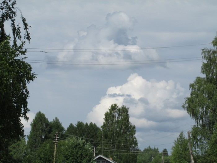 Сезонный курьёз