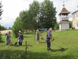 Не оставит нас