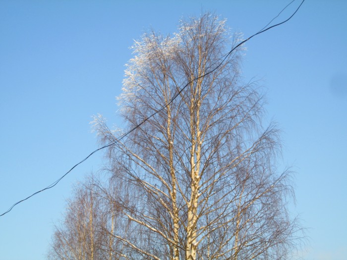 Без уныния