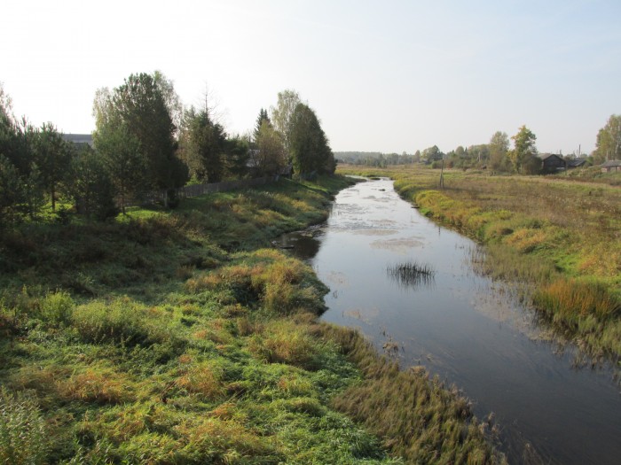 Зелень вновь