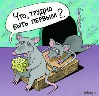 Бесплатный сыр...