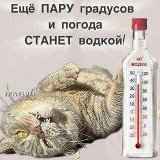 Равновесие