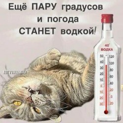 Равновесие
