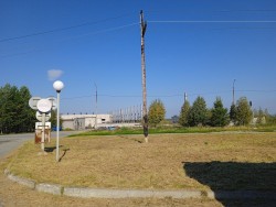 Bulmutru