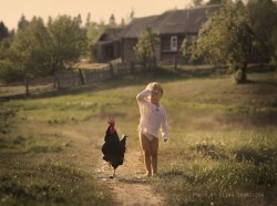 Летнее утро в деревне