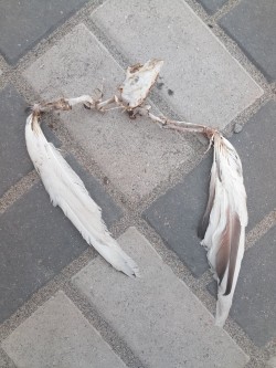 Белое платье