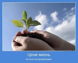 Жизнь