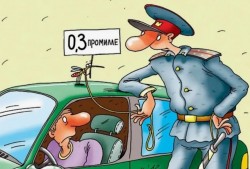 Дорожная повесть стихами (ДПС)