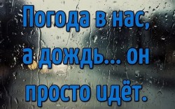 Не бодрое